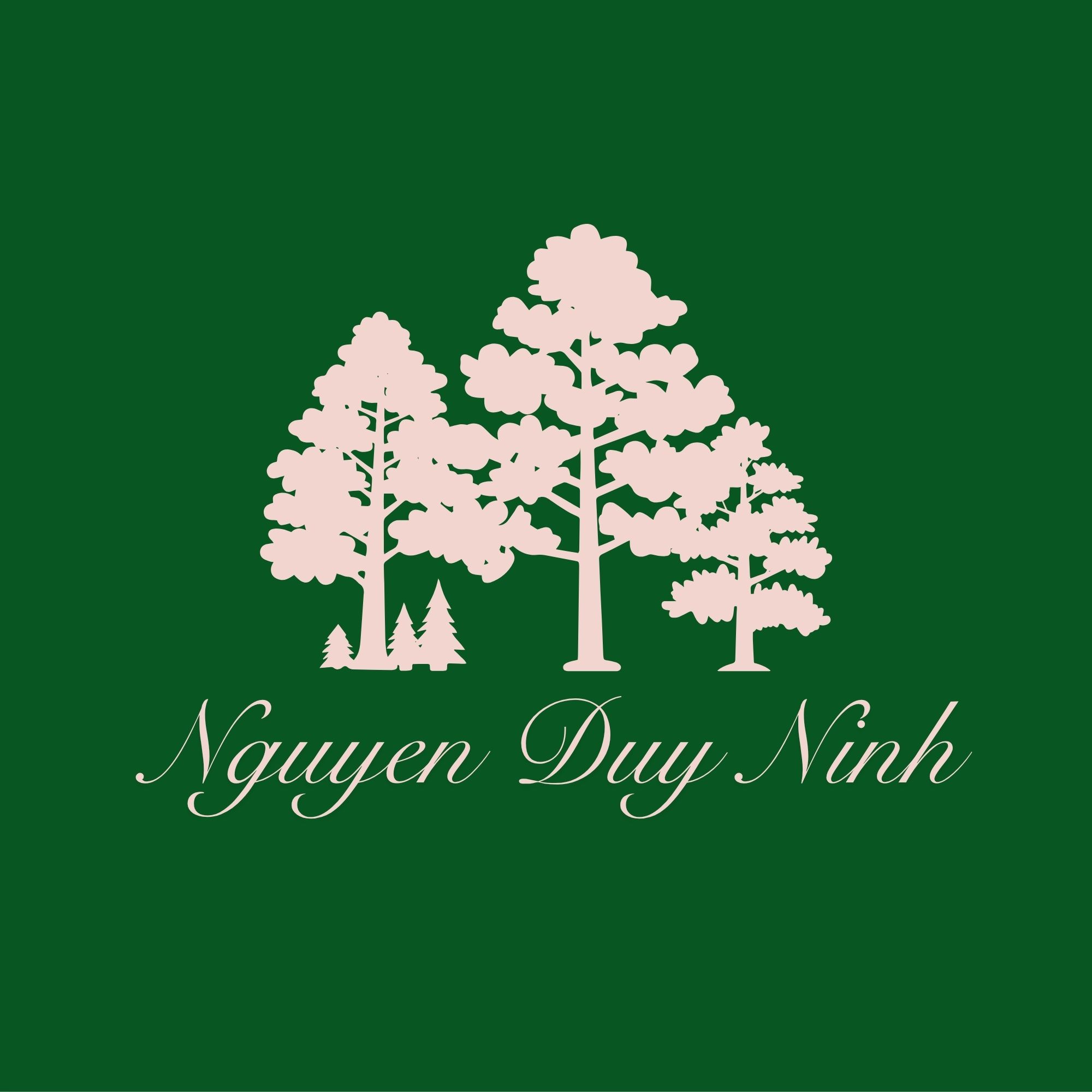 Nguyenduyninh.com